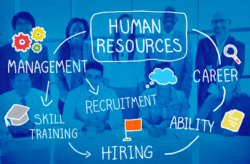 Чим відрізняється HR від рекрутера і хто такий рекрутер в айті?