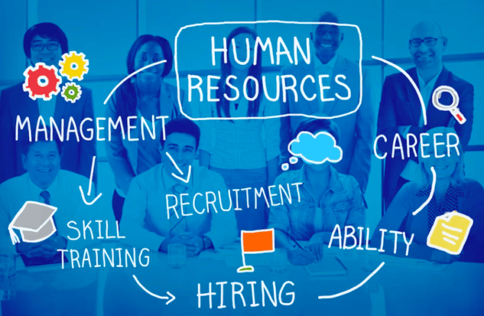 Очікування VS реальність: позиція рекрутера очима випускниці DAN.IT Education