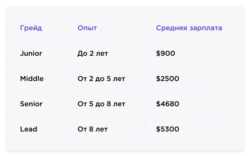 Junior, Middle, Senior, Lead — в чем разница и есть ли жизнь после Senior?